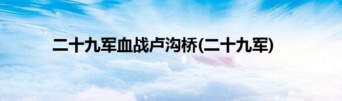 二十九军血战卢沟桥(二十九军)