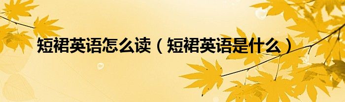 短裙英语怎么读（短裙英语是什么）