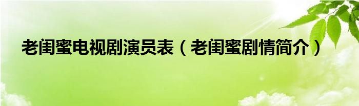 老闺蜜电视剧演员表（老闺蜜剧情简介）