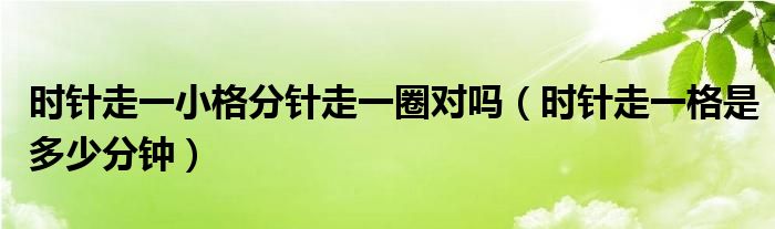 时针走一小格分针走一圈对吗（时针走一格是多少分钟）