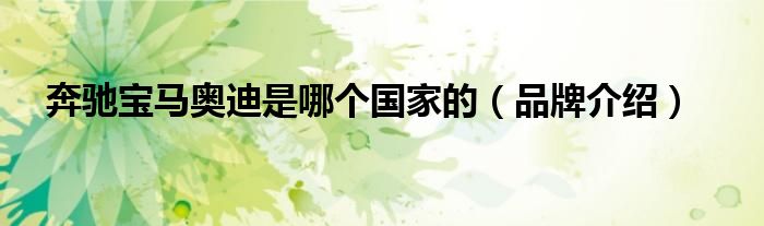 奔驰宝马奥迪是哪个国家的（品牌介绍）