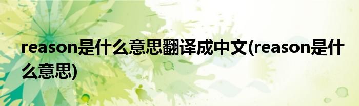 reason是什么意思翻译成中文(reason是什么意思)