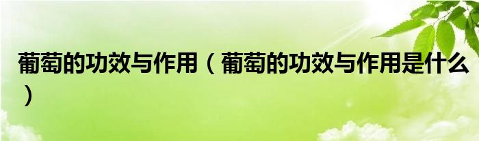 葡萄的功效与作用（葡萄的功效与作用是什么）