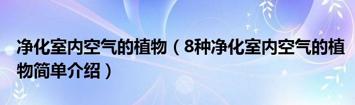 净化室内空气的植物（8种净化室内空气的植物简单介绍）