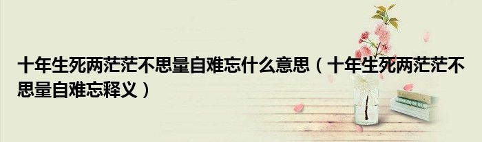 十年生死两茫茫不思量自难忘什么意思（十年生死两茫茫不思量自难忘释义）