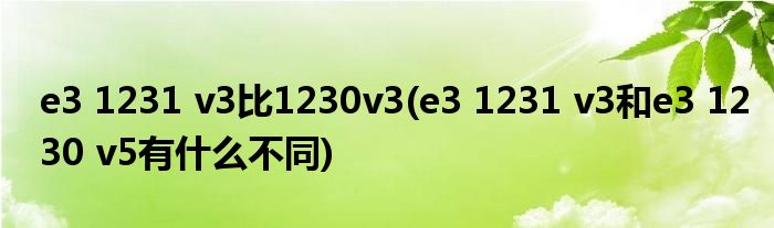 e3 1231 v3比1230v3(e3 1231 v3和e3 1230 v5有什么不同)
