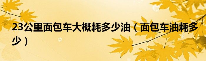 23公里面包车大概耗多少油（面包车油耗多少）