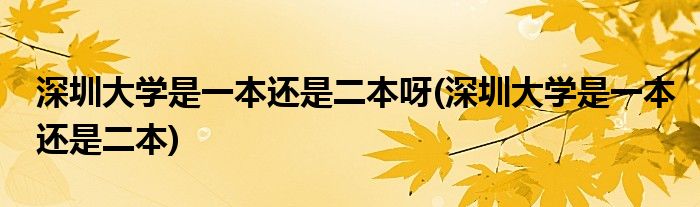 深圳大学是一本还是二本呀(深圳大学是一本还是二本)