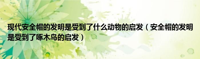 现代安全帽的发明是受到了什么动物的启发（安全帽的发明是受到了啄木鸟的启发）