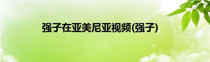 强子在亚美尼亚视频(强子)
