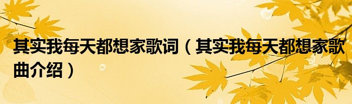 其实我每天都想家歌词（其实我每天都想家歌曲介绍）
