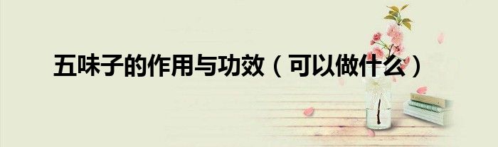 五味子的作用与功效（可以做什么）