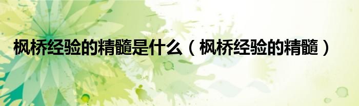枫桥经验的精髓是什么（枫桥经验的精髓）