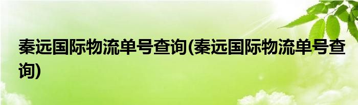 秦远国际物流单号查询(秦远国际物流单号查询)