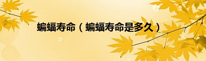 蝙蝠寿命（蝙蝠寿命是多久）
