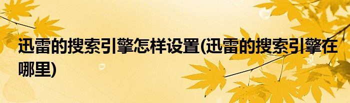 迅雷的搜索引擎怎样设置(迅雷的搜索引擎在哪里)