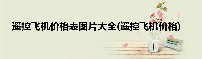遥控飞机价格表图片大全(遥控飞机价格)