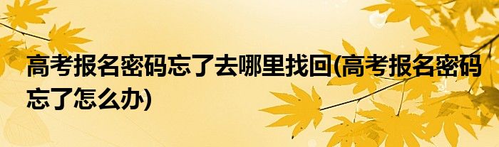 高考报名密码忘了去哪里找回(高考报名密码忘了怎么办)