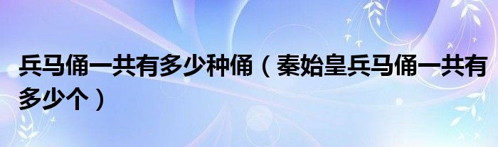 兵马俑一共有多少种俑（秦始皇兵马俑一共有多少个）
