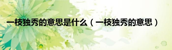 一枝独秀的意思是什么（一枝独秀的意思）