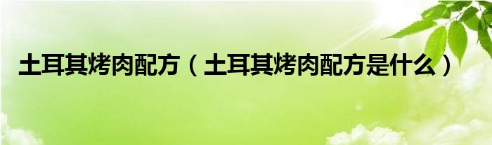 土耳其烤肉配方（土耳其烤肉配方是什么）