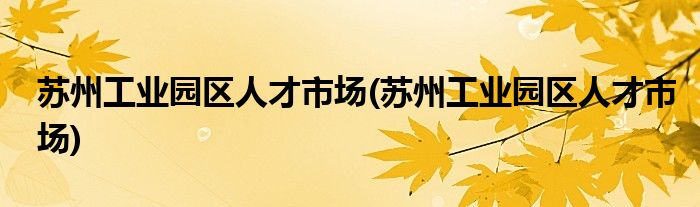 苏州工业园区人才市场(苏州工业园区人才市场)