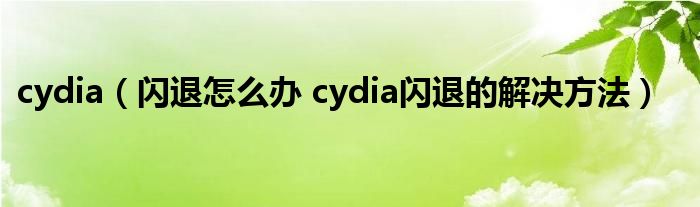 cydia（闪退怎么办 cydia闪退的解决方法）