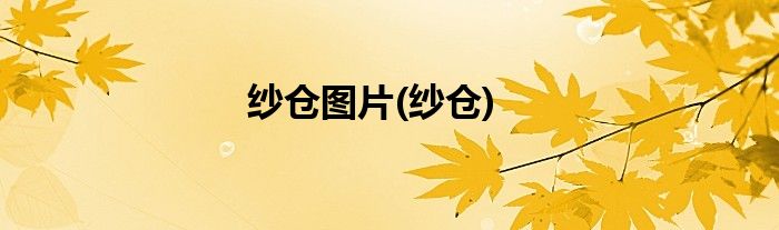 纱仓图片(纱仓)