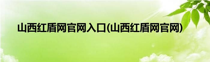 山西红盾网官网入口(山西红盾网官网)