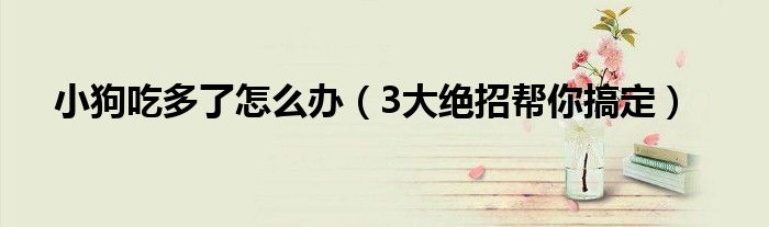小狗吃多了怎么办（3大绝招帮你搞定）