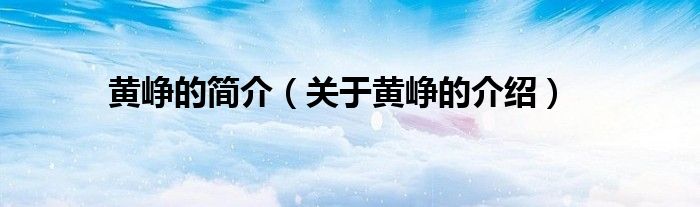 黄峥的简介（关于黄峥的介绍）