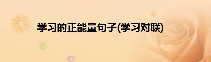 学习的正能量句子(学习对联)