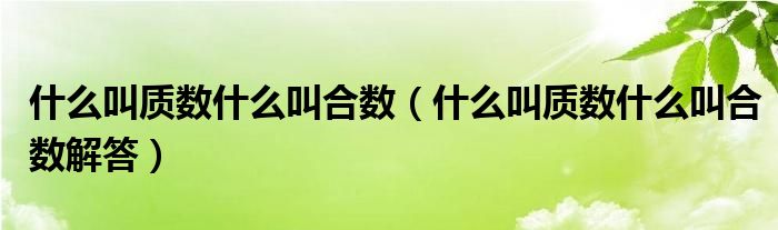 什么叫质数什么叫合数（什么叫质数什么叫合数解答）