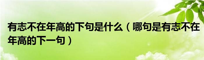 有志不在年高的下句是什么（哪句是有志不在年高的下一句）