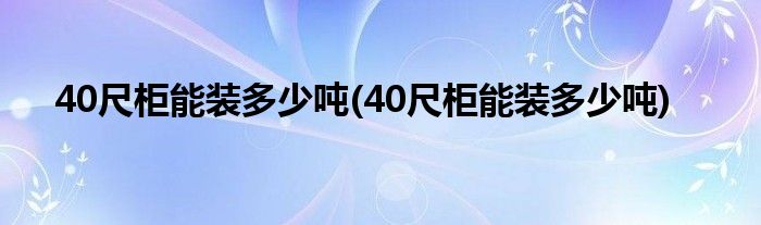 40尺柜能装多少吨(40尺柜能装多少吨)