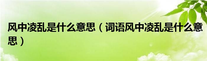 风中凌乱是什么意思（词语风中凌乱是什么意思）