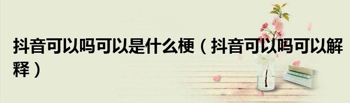 抖音可以吗可以是什么梗（抖音可以吗可以解释）