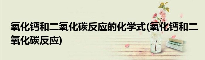 氧化钙和二氧化碳反应的化学式(氧化钙和二氧化碳反应)