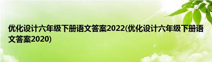 优化设计六年级下册语文答案2022(优化设计六年级下册语文答案2020)
