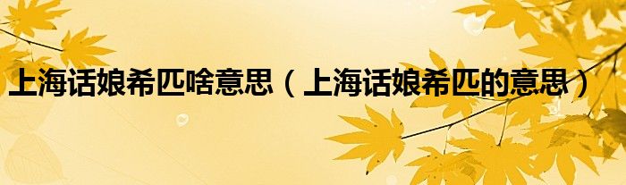 上海话娘希匹啥意思（上海话娘希匹的意思）