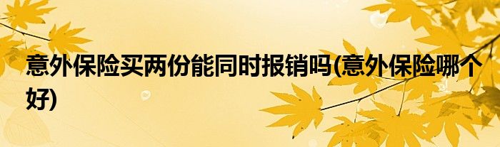 意外保险买两份能同时报销吗(意外保险哪个好)