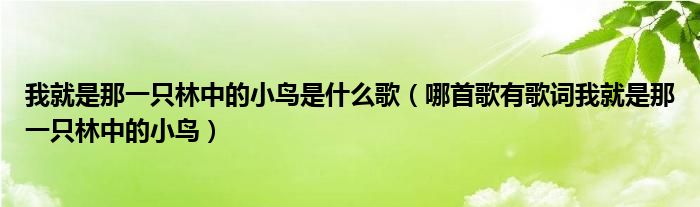 我就是那一只林中的小鸟是什么歌（哪首歌有歌词我就是那一只林中的小鸟）
