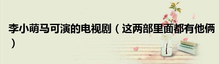李小萌马可演的电视剧（这两部里面都有他俩）