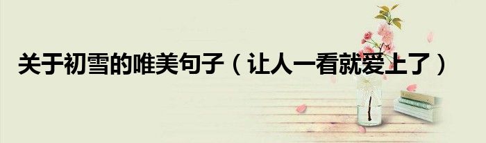 关于初雪的唯美句子（让人一看就爱上了）