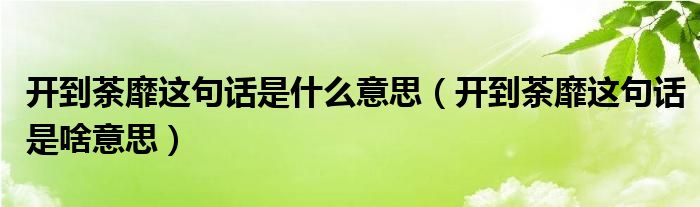 开到荼靡这句话是什么意思（开到荼靡这句话是啥意思）
