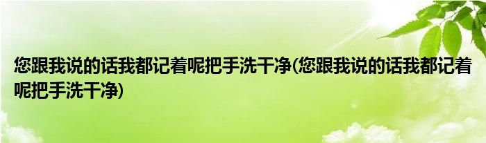 您跟我说的话我都记着呢把手洗干净(您跟我说的话我都记着呢把手洗干净)