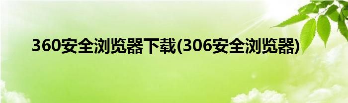 360安全浏览器下载(306安全浏览器)