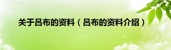 关于吕布的资料（吕布的资料介绍）