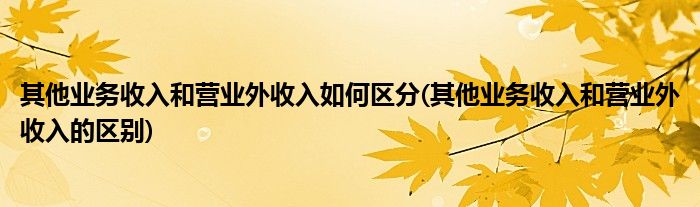 其他业务收入和营业外收入如何区分(其他业务收入和营业外收入的区别)