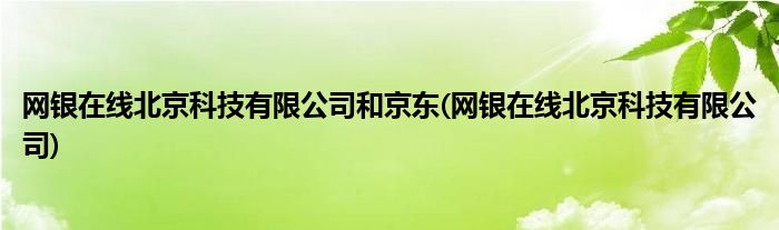 网银在线北京科技有限公司和京东(网银在线北京科技有限公司)